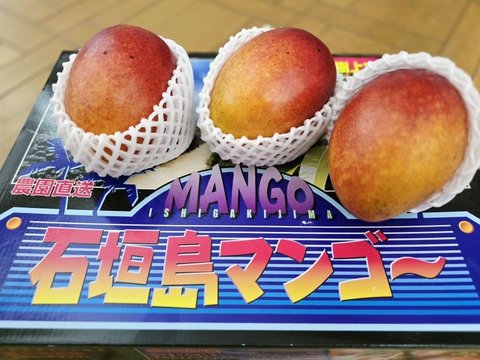No.2385 めっちゃ美味い！