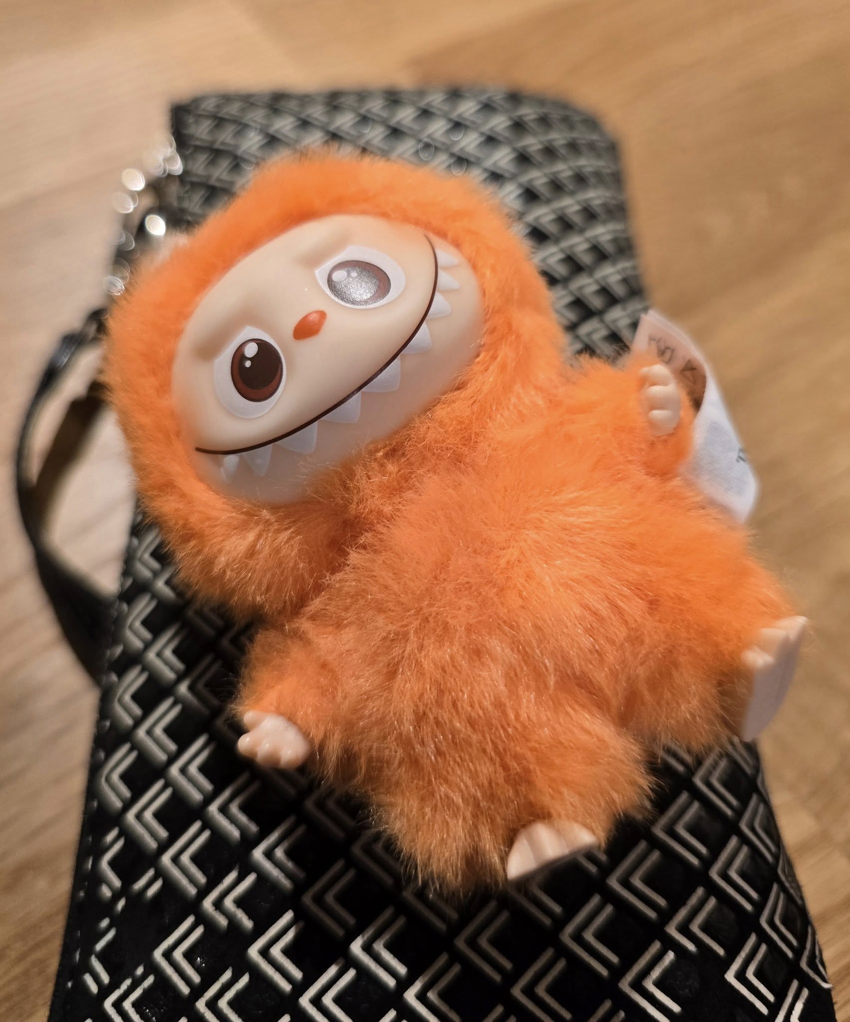 ファイル 2407-1.jpg