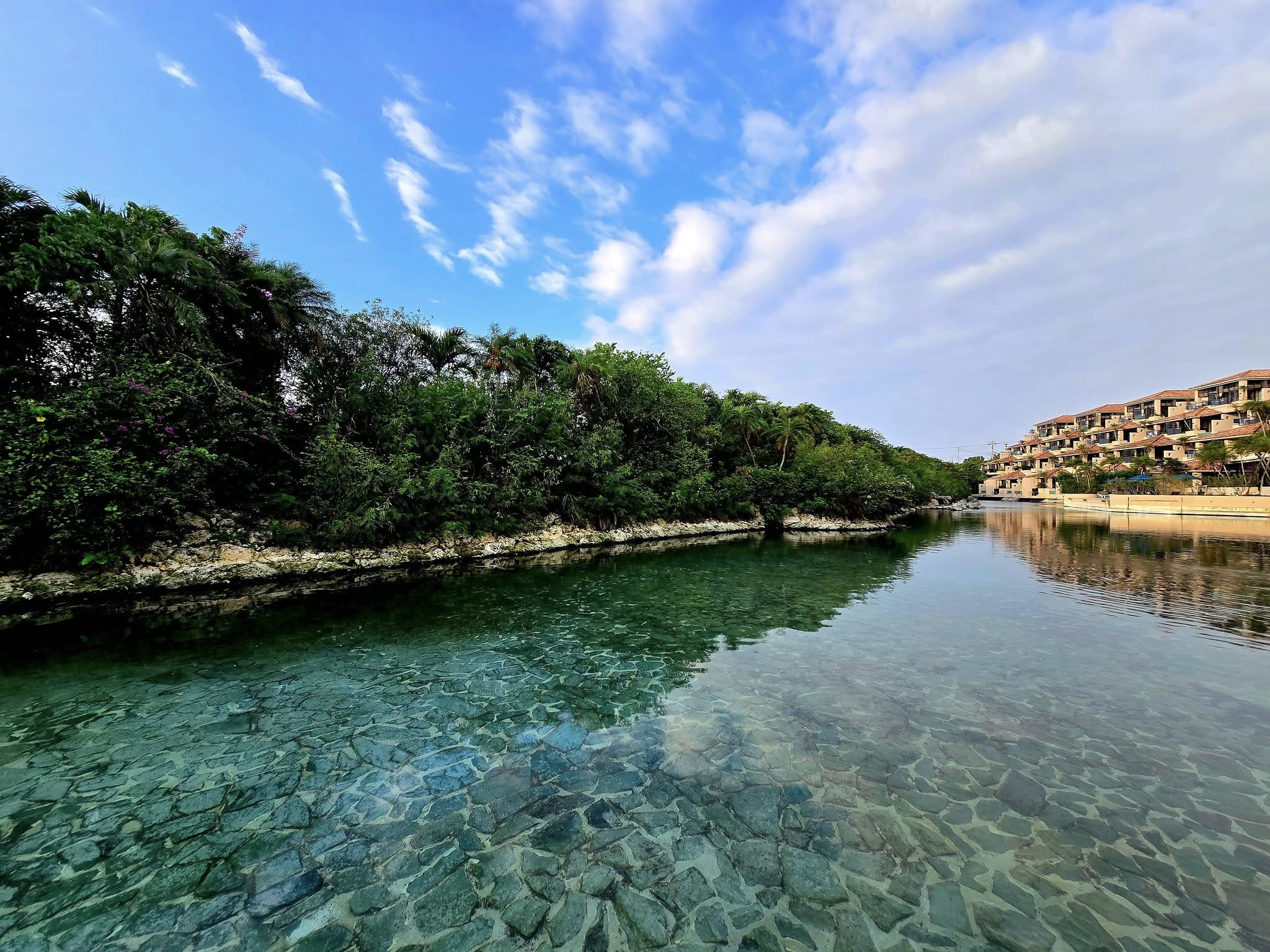 ファイル 2408-2.jpg