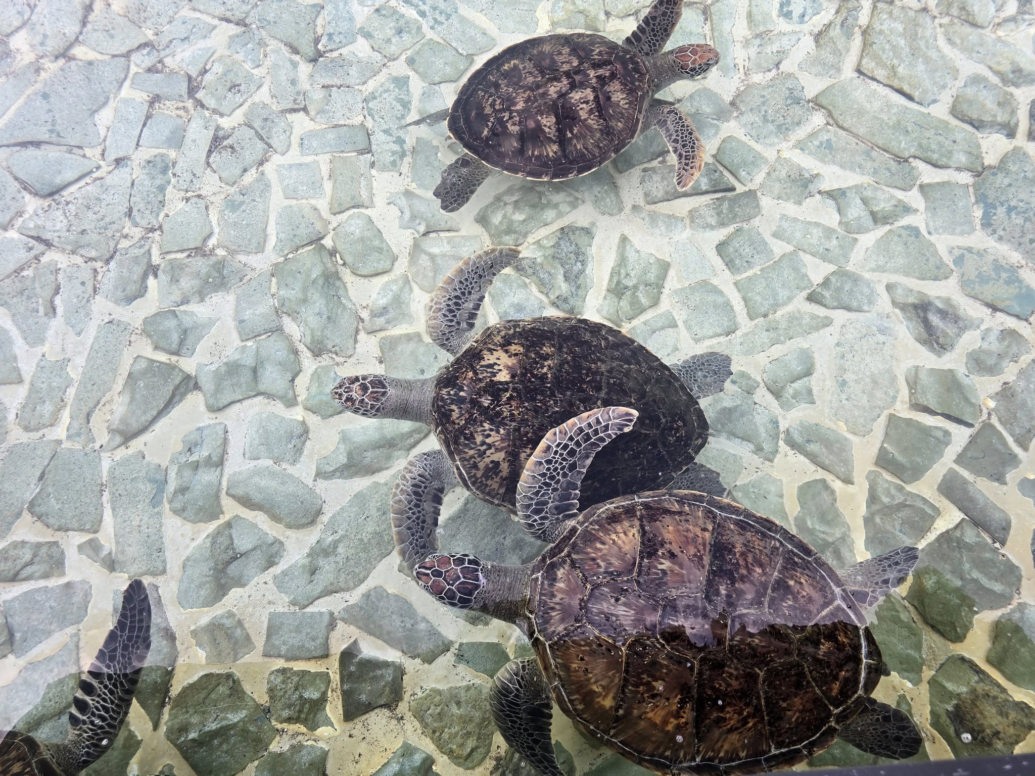 ファイル 2408-3.jpg