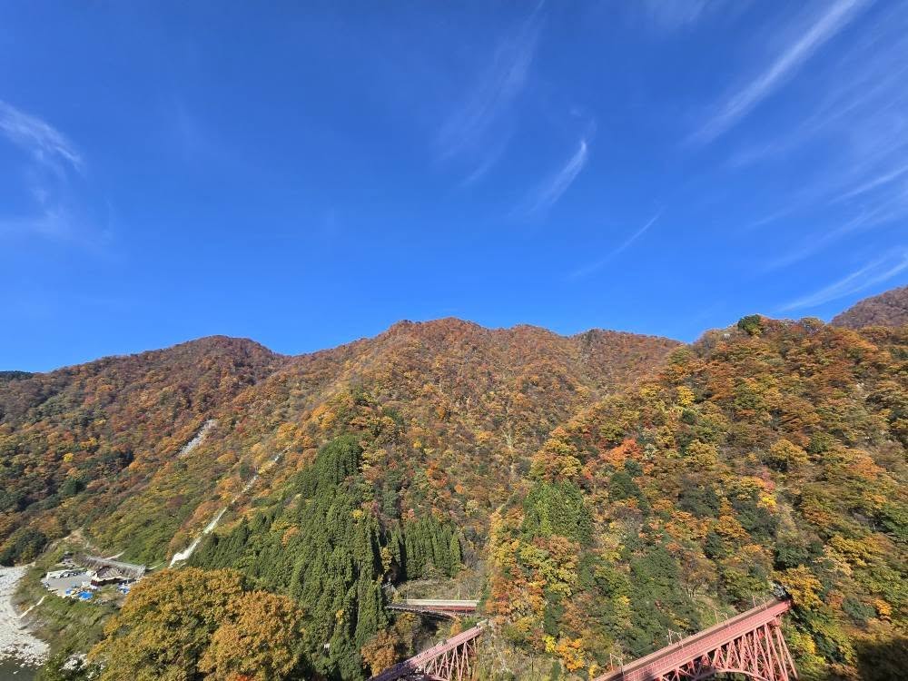 ファイル 2411-1.jpg