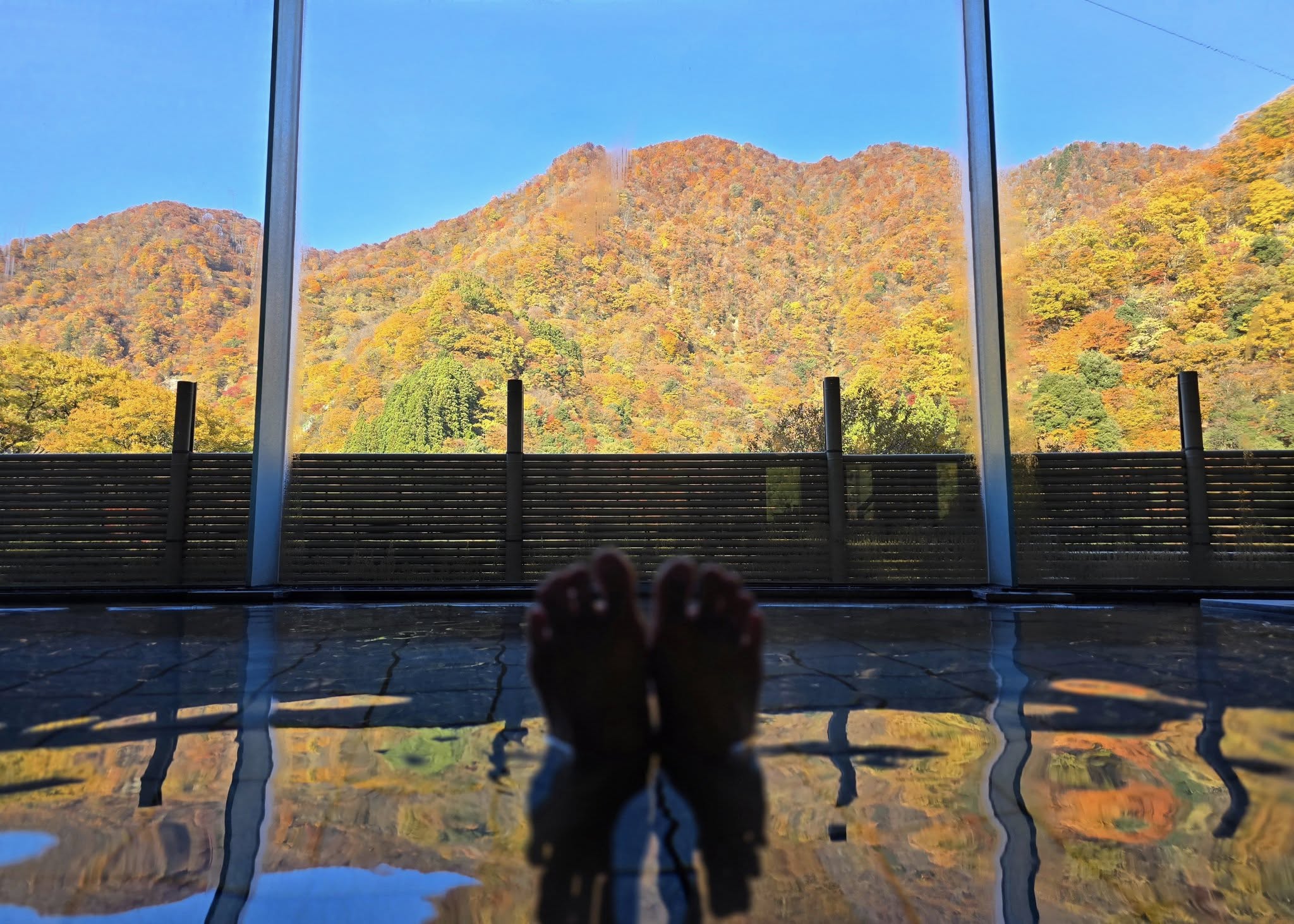 ファイル 2411-2.jpg