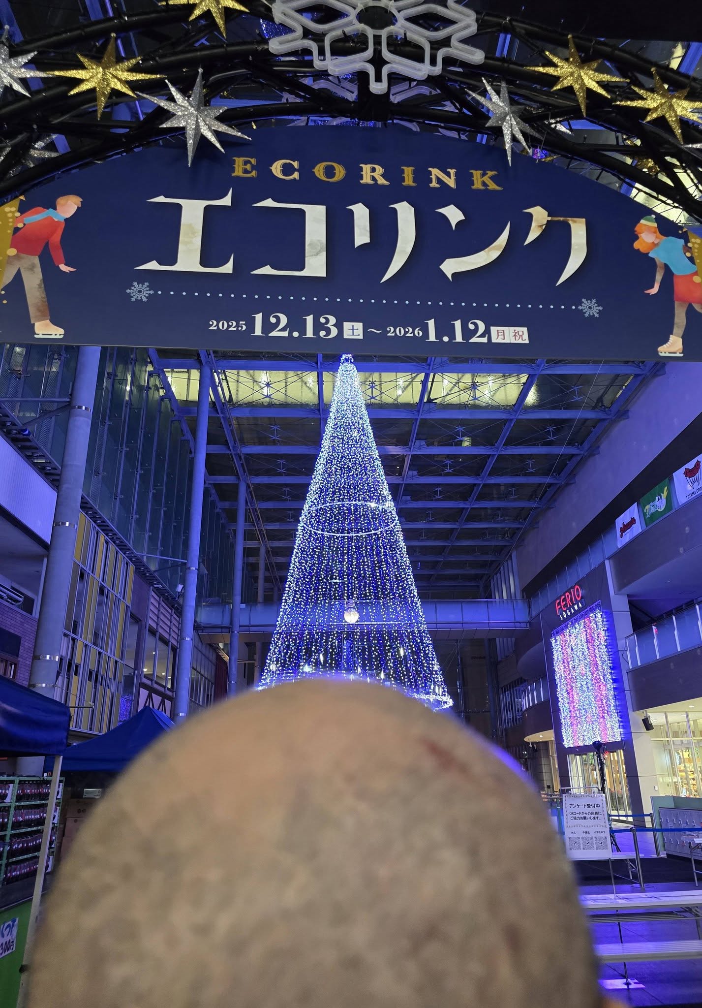 ファイル 2416-1.jpg