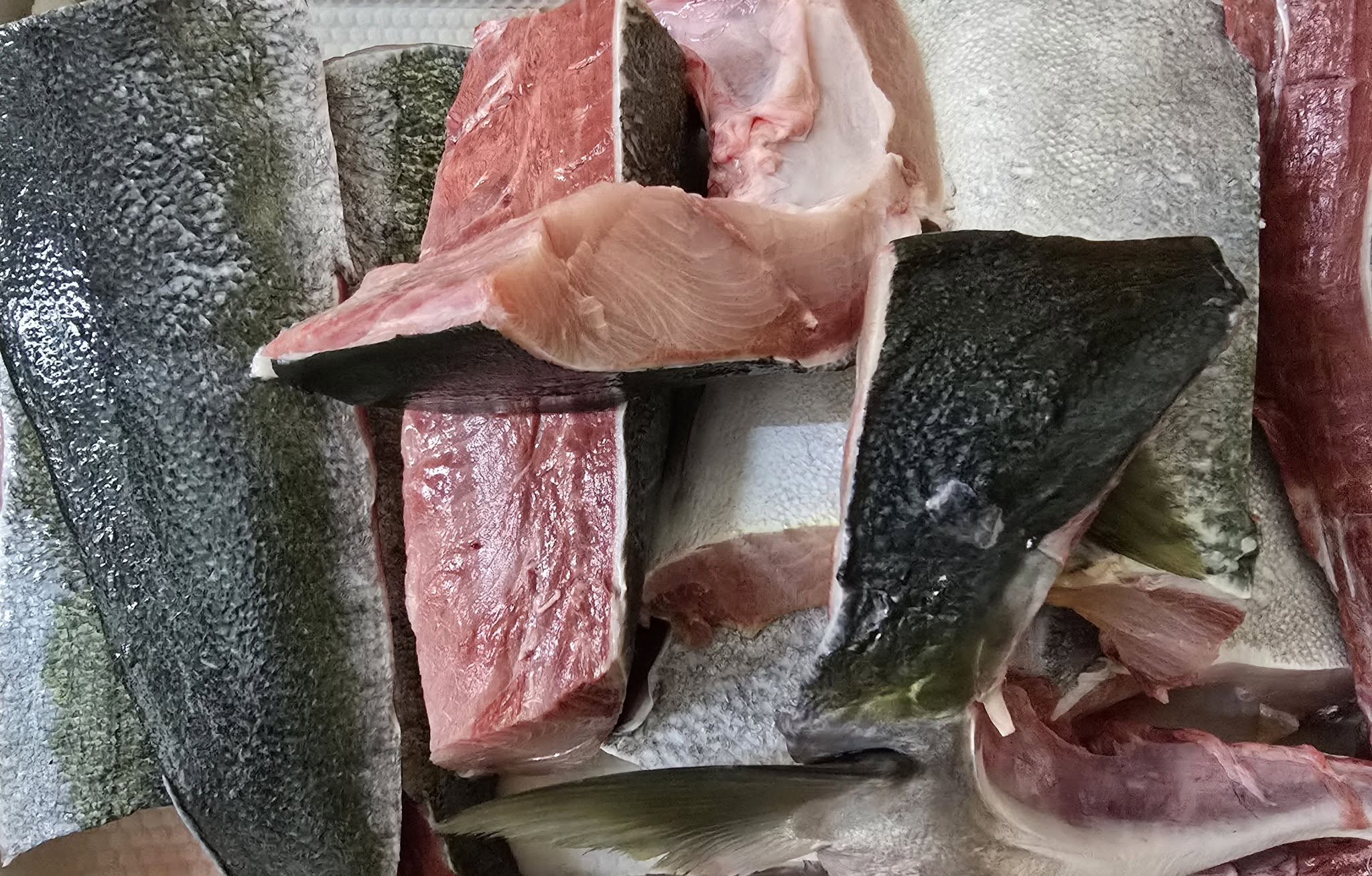 ファイル 2419-2.jpg