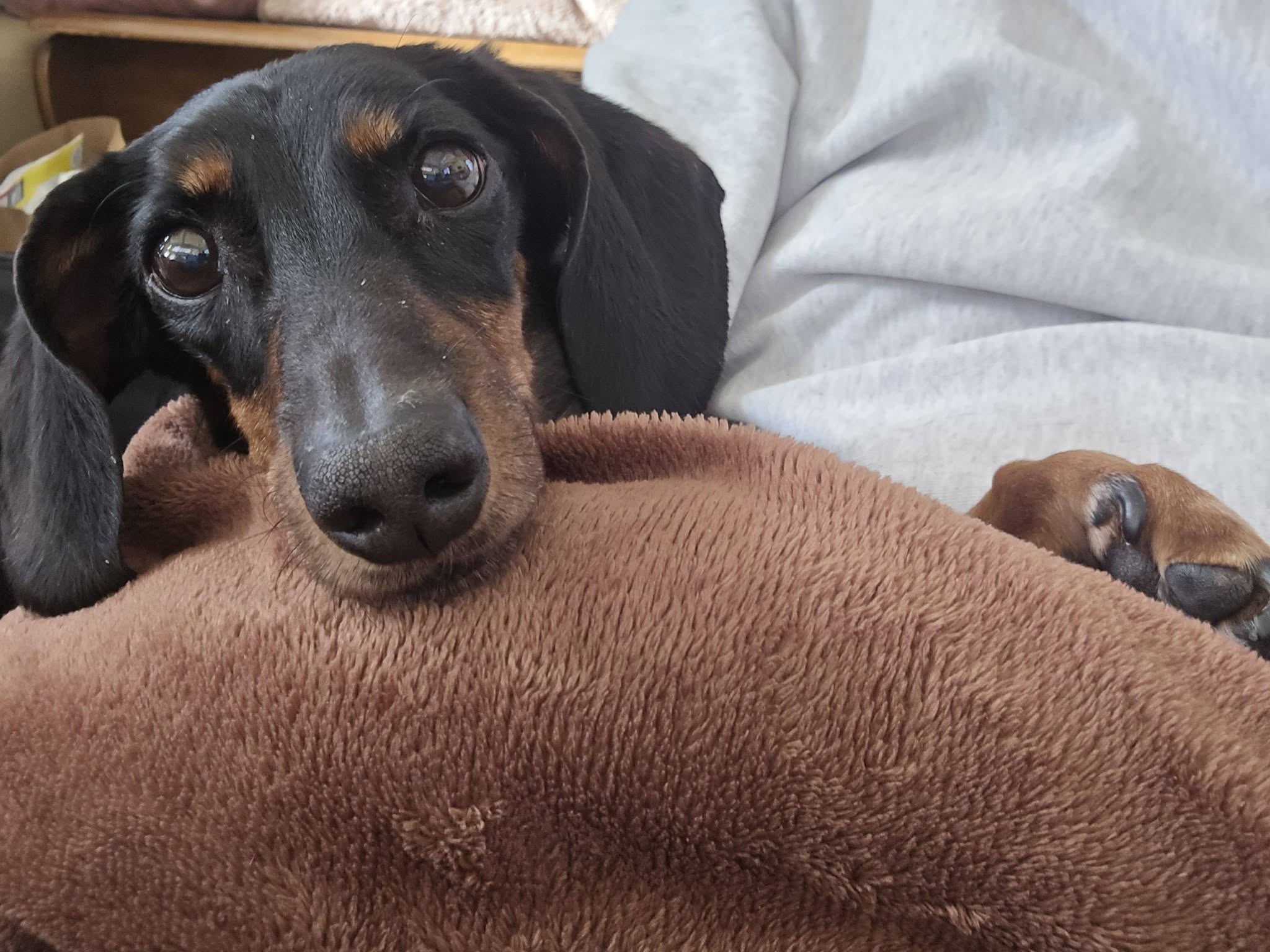 ファイル 2420-1.jpg