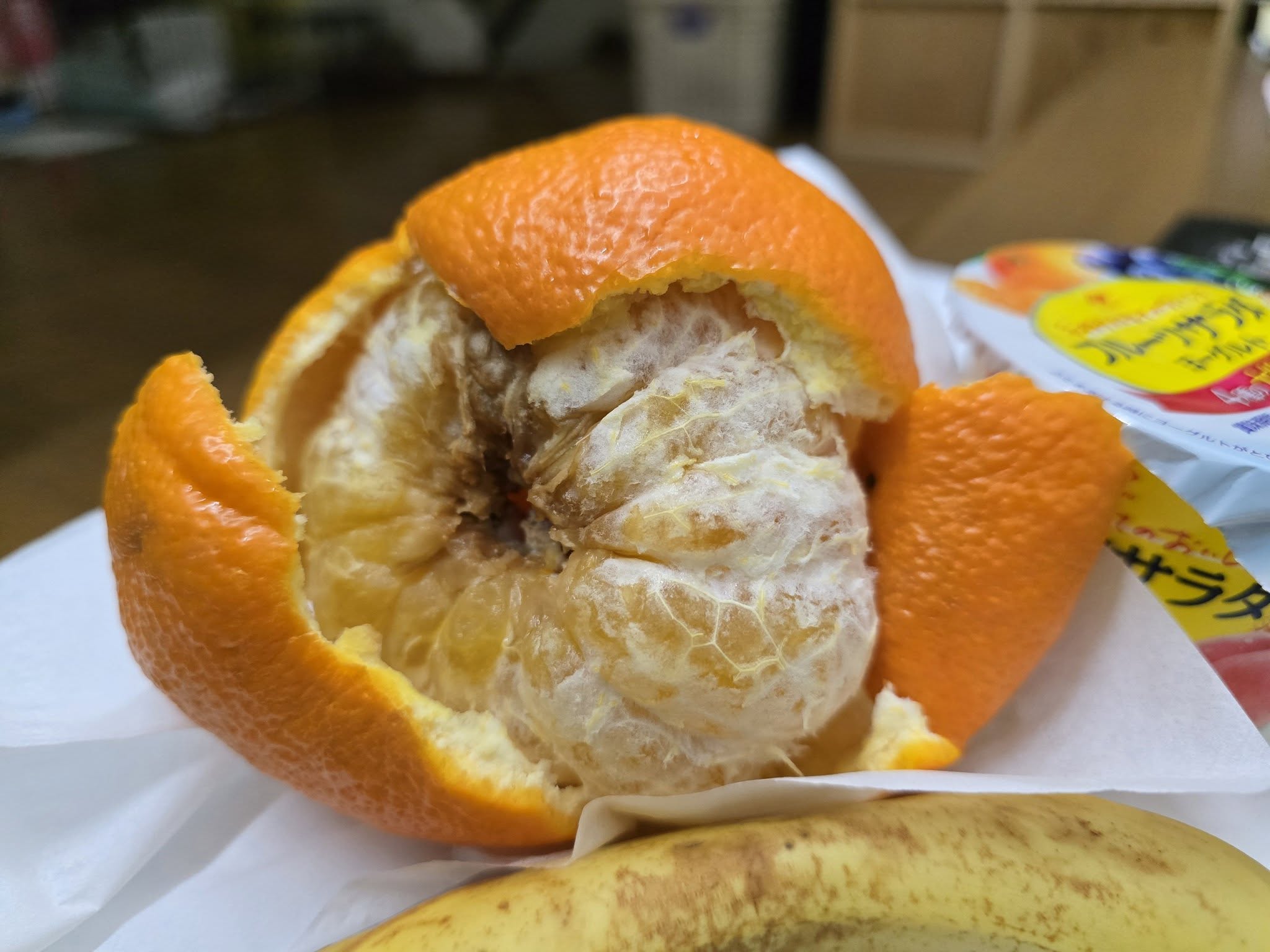 ファイル 2428-1.jpg