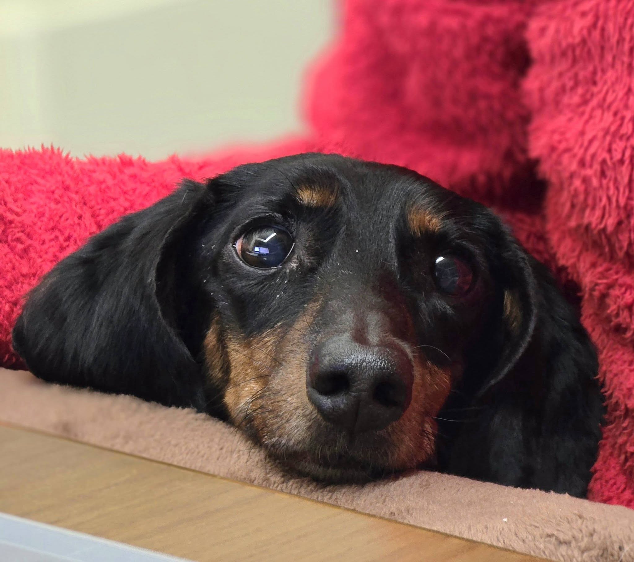 ファイル 2430-1.jpg