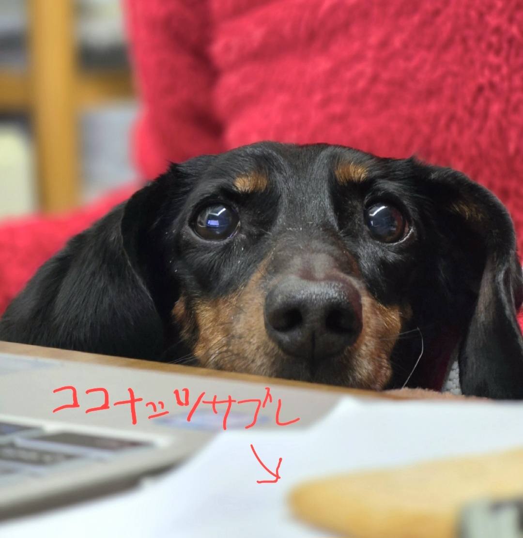 ファイル 2430-2.jpg